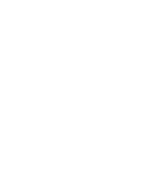 CV Portal NG