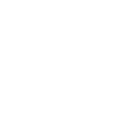 Psyche Vision